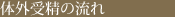 体外受精の流れ