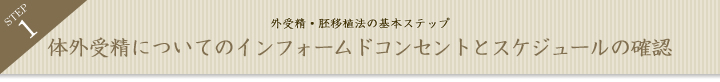体外受精についてのインフォームドコンセントとスケジュールの確認
