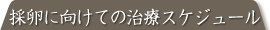 採卵に向けての治療スケジュール